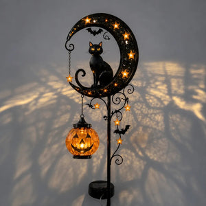 🎃Single Pumpkin-A