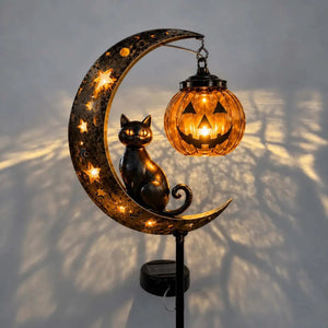 🎃Single Pumpkin-B